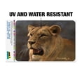 thumbnail image 2 of Lioness Female Lion Home Business Office Sign, 2 of 7