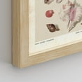 thumbnail image 5 of PixonSign Framed Wall Art Old-World Shell Collection Maritime Themed Posters, Set of 4 Classic Vintage Seaside Canvas Prints, Retro Nature Landscape Prints Wall Décor for Home - 12"x16" Natural, 5 of 5