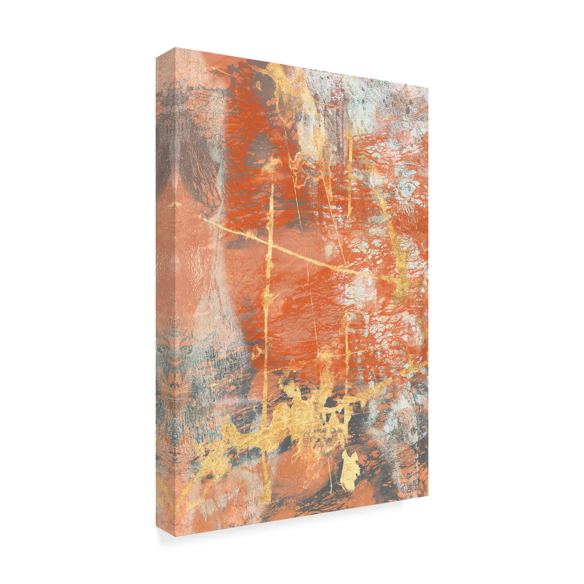 Trademark Fine Art 'Terre Cotta Lace I' Canvas Art by Jennifer Goldberger