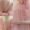 thumbnail image 5 of ZACPNCV Girls Butterflies Tulle Dress Princess Embroidery Birthday Pageant Party Flower Girl Wedding Ball Gowns Pink 4-5 Years, 5 of 6
