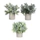 thumbnail image 3 of 3 Piezas de Plantas Falsas BLESIY Decorativas en Macetas Pequeñas, 3 of 8