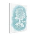 thumbnail image 2 of Trademark Fine Art 'Ghost Rose I' Canvas Art by Grace Popp, 2 of 4