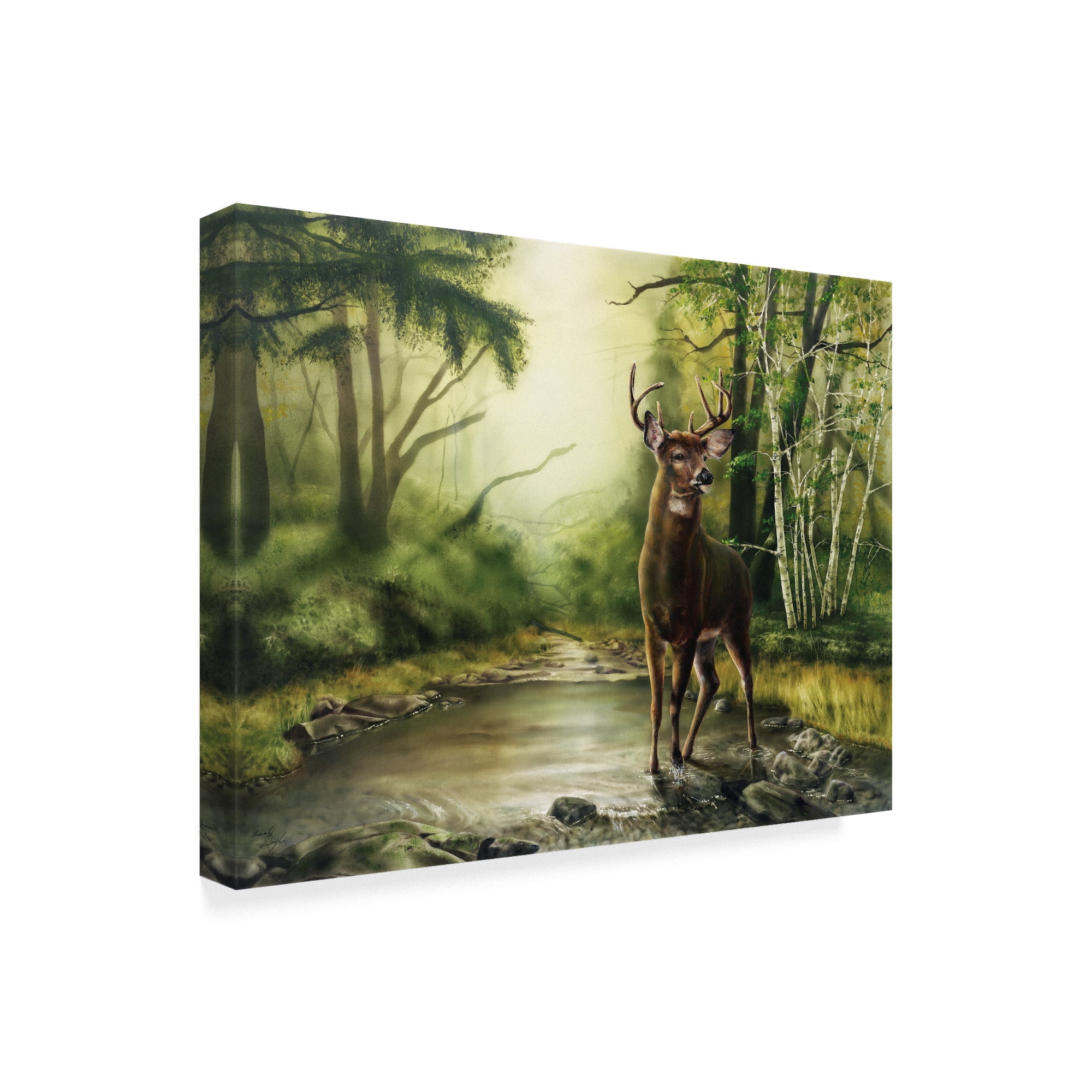Trademark Fine Art 'Deer In Woods' Canvas Art by Beverly Doyle