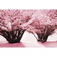 thumbnail image 3 of Geyman, Vitaly 18x13 Black Modern Framed Museum Art Print Titled - Blossom Heaven II, 3 of 5