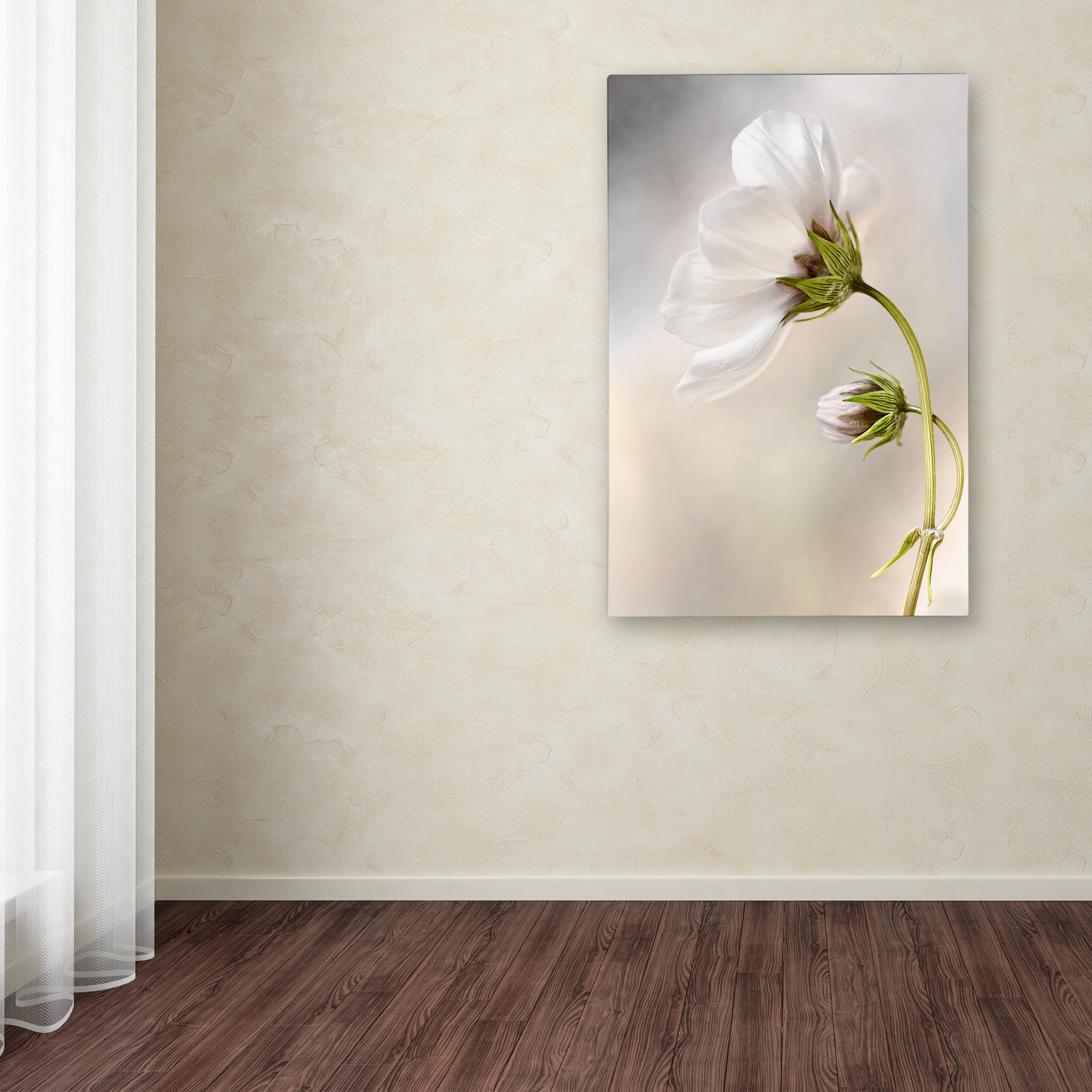 Mandy Disher 'Heavenly Cosmos' Canvas Art