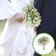 thumbnail image 4 of CaiYueKe Artificial Foam Starry Sky Flowers Bouquet Wedding Home Decor Fake Plastic Floral Arrangement Centerpiece Party Supplies Decoration Ornament, 4 of 7