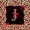 Black Red J, variant on Manfei Cheetah Print Letter Monogrammed E Full Size Comforter Sets 3 Pieces for Women Girls,Teens Adults Shabby Chic Red Ribbon Bow Bedding Sets,Black Reversible,Breathable Home Decor