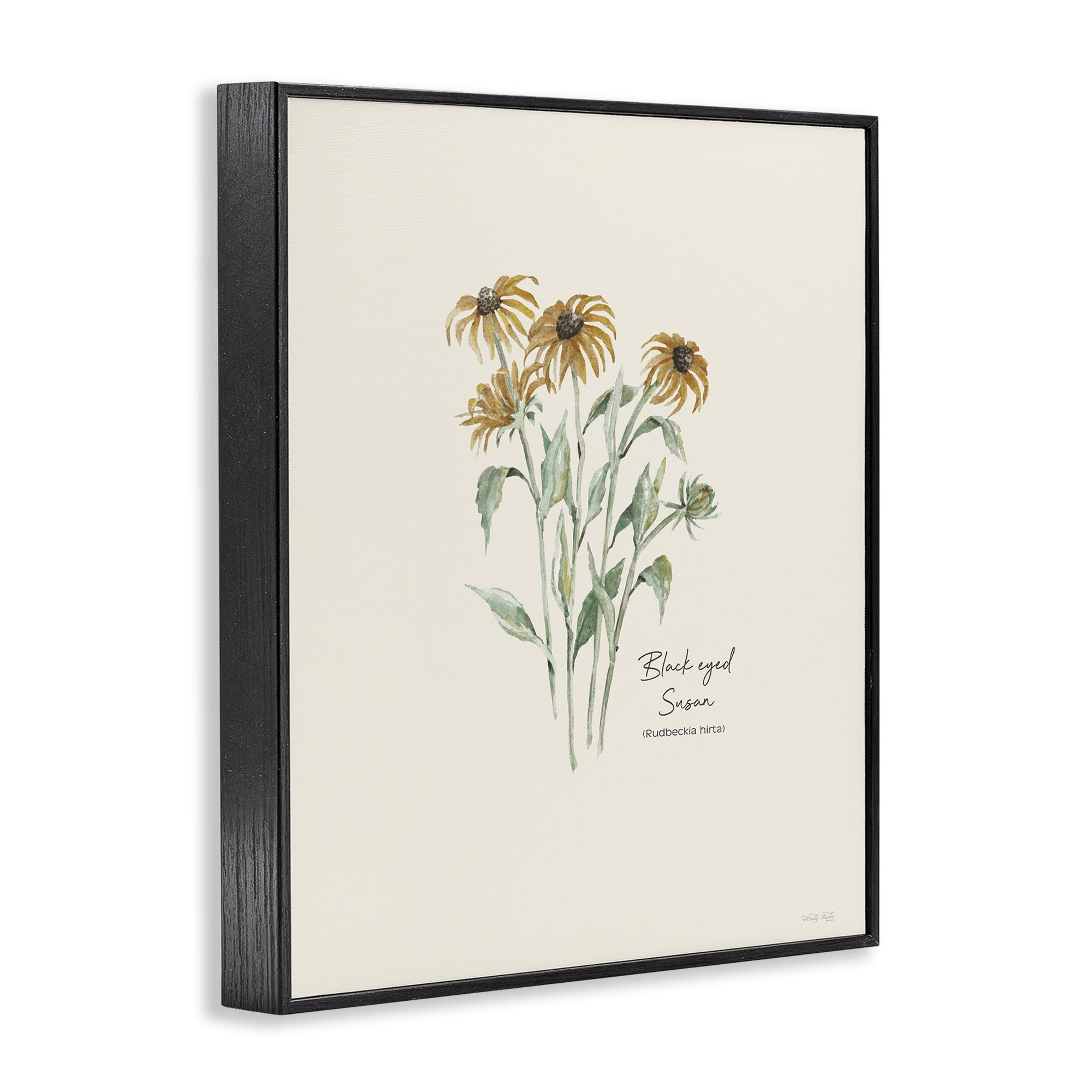 Stupell Industries Black Eyed Susans Botanical & Floral Painting Black Framed Art Print Wall Art, 24 x 30