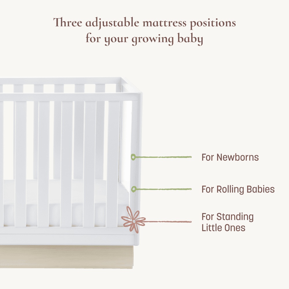 Little Seeds Dawn 4-in-1 Convertible Crib, Black/Acorn