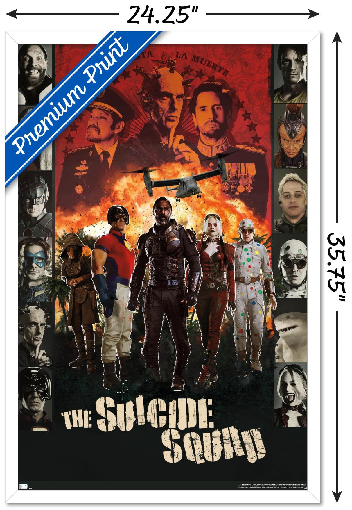 DC Comics Movie The Suicide Squad - Battle Group Wall Poster, 22.375" x 34", Framed