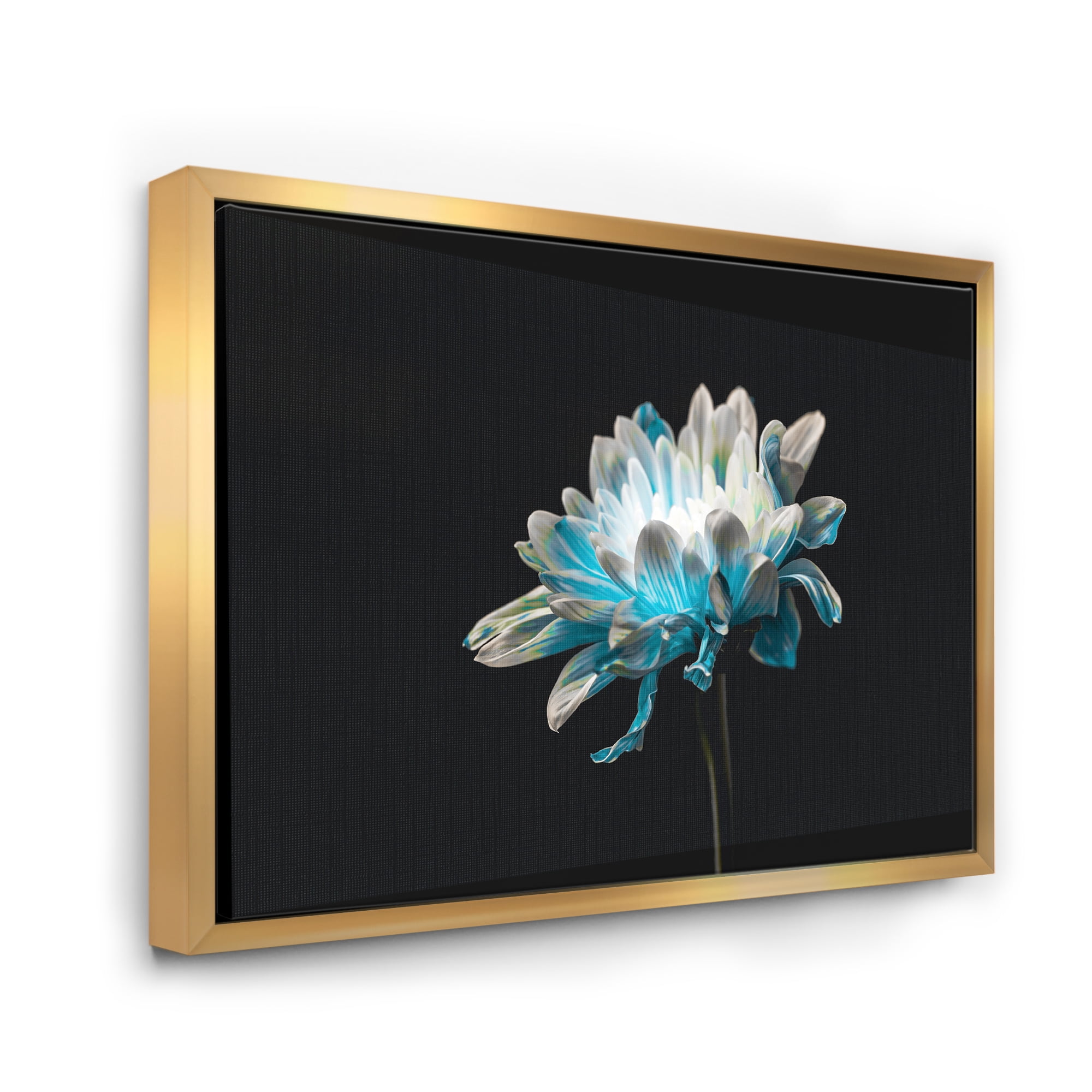 Designart 'Close Up Of White and Pure Blue Daisy Flower I' Traditional Framed Canvas Wall Art Print