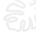 thumbnail image 3 of unbranded 20Ud Soporte Para De Plantas Transparentes Para Plantas Trepadoras Y Bonsáis, 3 of 8
