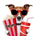 thumbnail image 2 of Dog Watching Movie Wall Mural by Wallmonkeys Peel and Stick Graphic (24 in H x 23 in W) WM74665, 2 of 4