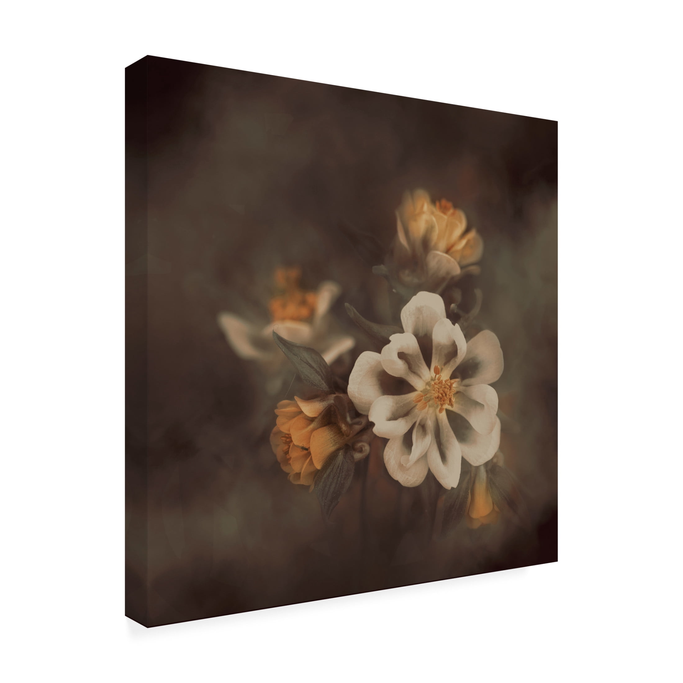 Canvas Wall Art - Cicek Kiral 'Distant Realms' Wall Art for Living Room, Bedroom, or Office Décor by Trademark Fine Art - 14 x 14 Inches
