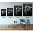 thumbnail image 5 of VELVET Lion Canvas Prints Art Modern Animals Pictures Wall Art Lion Looks Up at the Stars Posters Black and White Posters Wall Decor Living Dining Room Decor Ready to Hang- 20x24inch Framed, 5 of 6