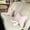 Pink1, variant on 1 Pack Soft Furry Bow Throw Pillow, Cute Bowknot Plush Lumbar Pillow for Couch, Bed, Living Room & Car Decor - Home Decorative Stuffed Accent Pillow