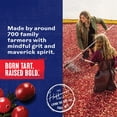 thumbnail image 6 of Ocean Spray® ZERO Sugar Cranberry Juice Drink, 3 Liter Bottle, 6 of 13