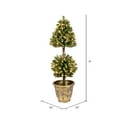thumbnail image 3 of 4' Tifton Two Ball Topiary Dura-Lit® 200 Clear Lights, 3 of 4