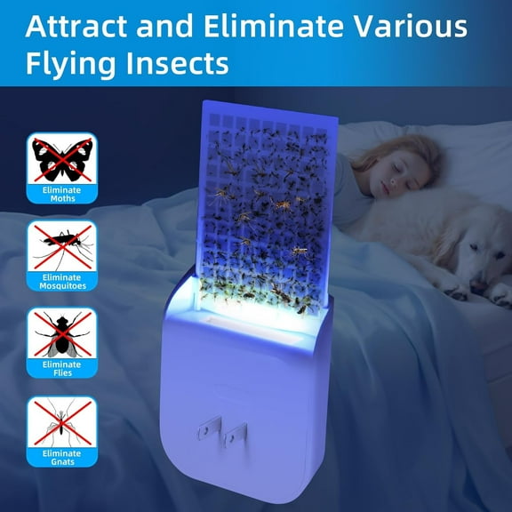 1Pack Indoor Flying Insect Trap, Purple Night Light Bug Catcher, Effective Gnat & Fruit Fly Trap with 5-Sticky Boards, Ideal for Home & Office Use