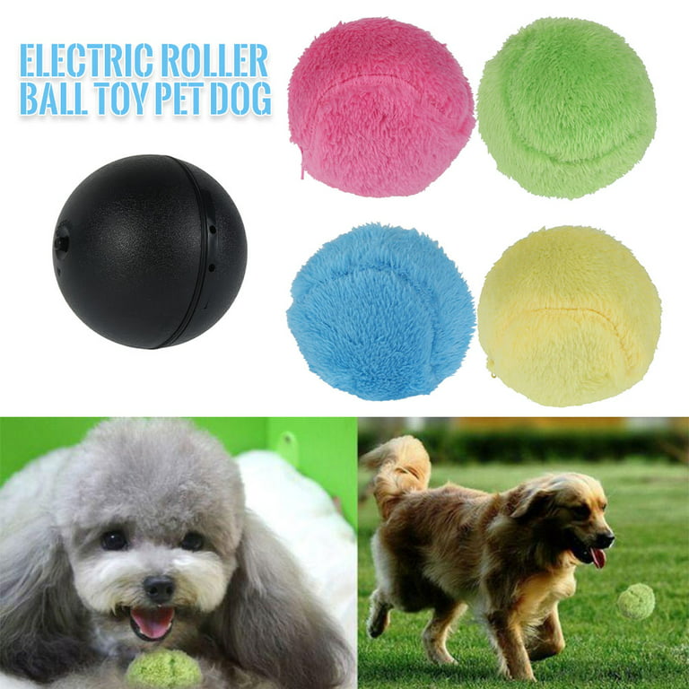 Auto Rolling Weasel Ball For Dogs and Cats – Sugar Pet Shop