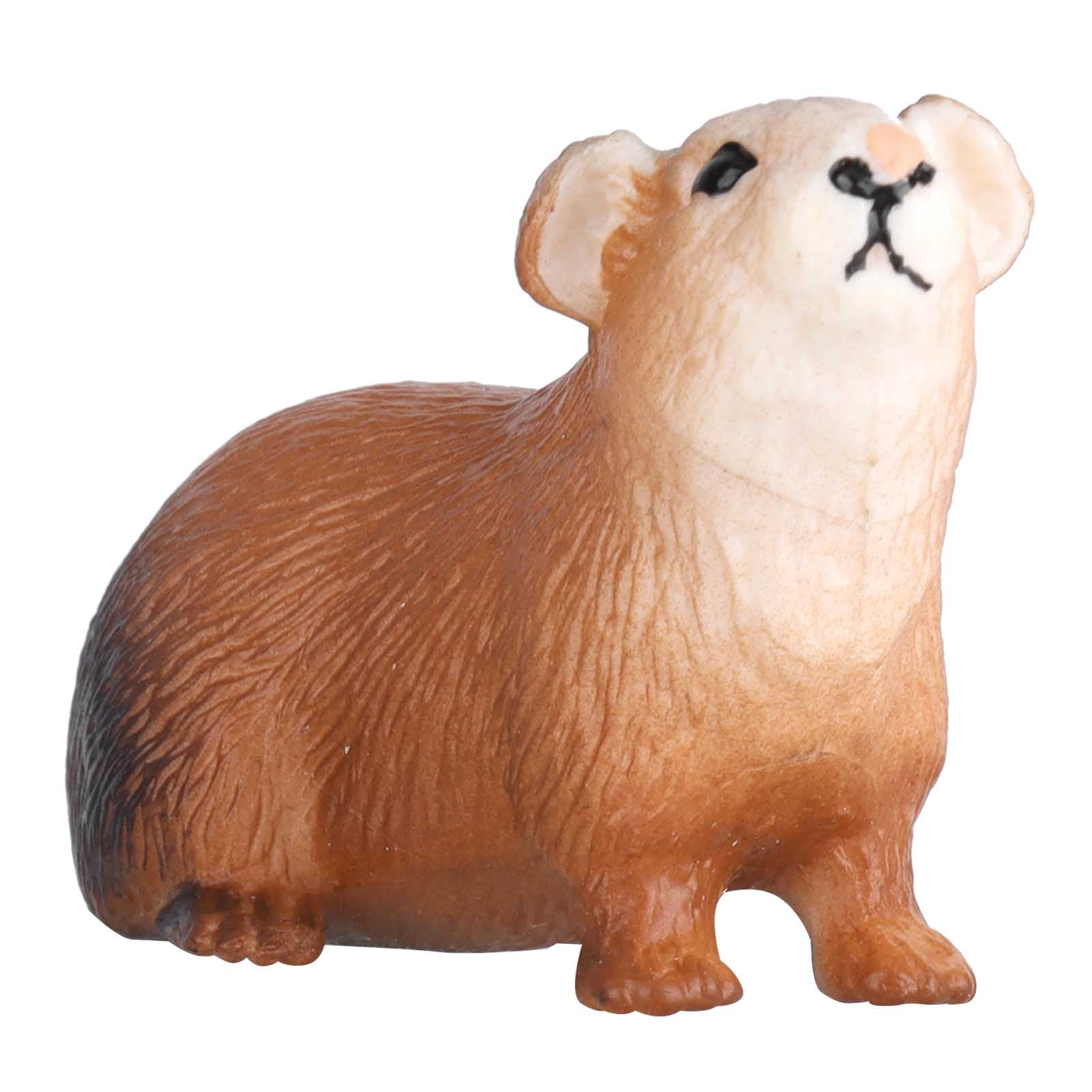 Children Guinea Pig Model, Guinea Pig Model Animal Guinea Pig Model For