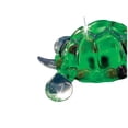 thumbnail image 6 of Glass Baron Turtle, 6 of 6