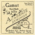 thumbnail image 1 of Academie Tenor Viol d-2 Intestin Jauge Moyenne, 1 of 4
