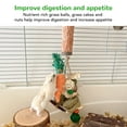 thumbnail image 4 of Hanging Teething Toys, Improve Digestion Hand Made Relieve Boredom Exercise Teeth Grinding Multipurpose  Hanging Chew Toys  For Chinchillas, 4 of 8