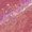 Hot Pink, variant on Boys Mid Rise Stretch Sequin Leggings Slim Fit Casual Pants Elastic Comfort Bottoms Fashion Kids Trousers for Daily Wear and Casual Occasions Blue 110