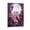 Frame-style, variant on Daki Demon Upper Moon Poster Canvas Poster Wall Art Picture Prints Hanging Photo Gift Decor Home Posters Artworks 24x36inch(60x90cm)