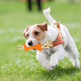 thumbnail image 5 of Pet Toy Dog ​​teething Bone Stick To Boredom Pet Chew Knot Toy Wear Training Dog, 5 of 5