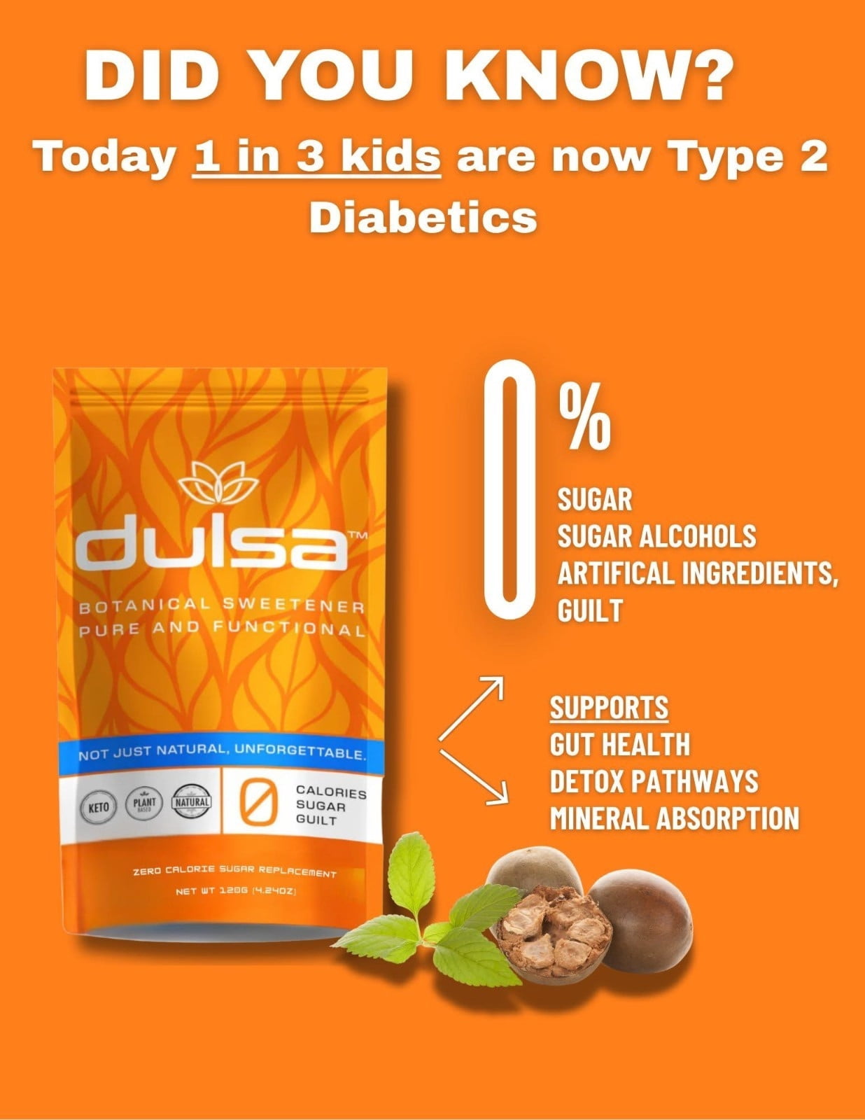 Dulsa Botanical Sweetener, Pure & Functional, Natural Sugar Alternative, Plant-Based Ingredients with Probiotics, Yacon Root, Monk Fruit, Zero Calories, Zero Sugar Alcohols, 120 grams, 4.24 ounces