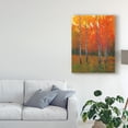 thumbnail image 3 of Trademark Fine Art 'Changing Colors I' Canvas Art by Tim OToole, 3 of 4