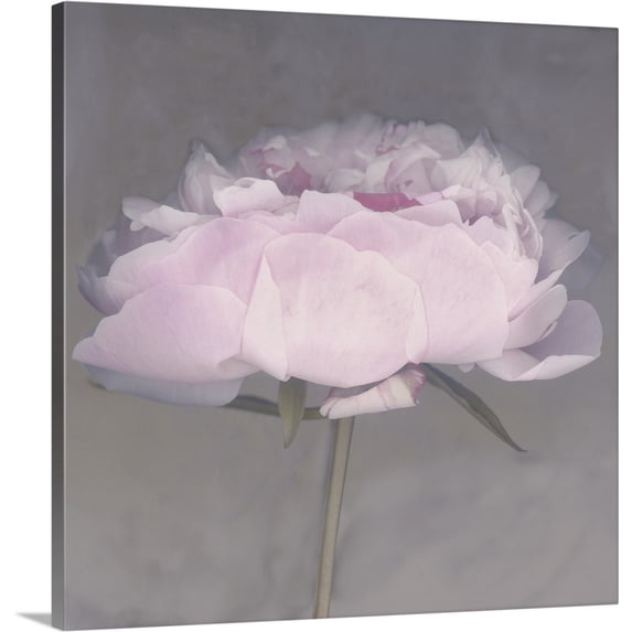 Great BIG Canvas | "Jolie" Canvas Wall Art - 20x20
