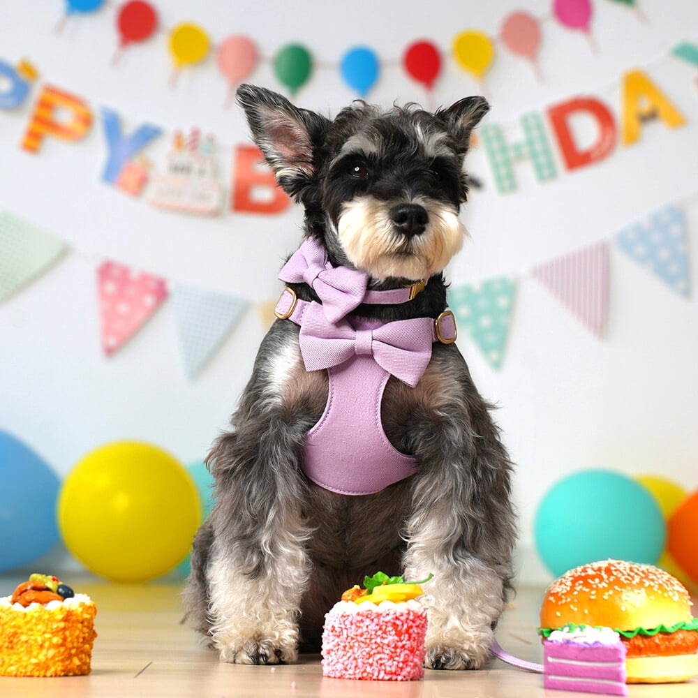 Didog Cute Small Dog Vest Harness & Collar & Leash & Poo Bag Holder set for Puppy Cats Pet Yorkie