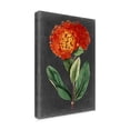 thumbnail image 2 of Trademark Fine Art 'Dramatic Floral II' Canvas Art by Curtis, 2 of 3