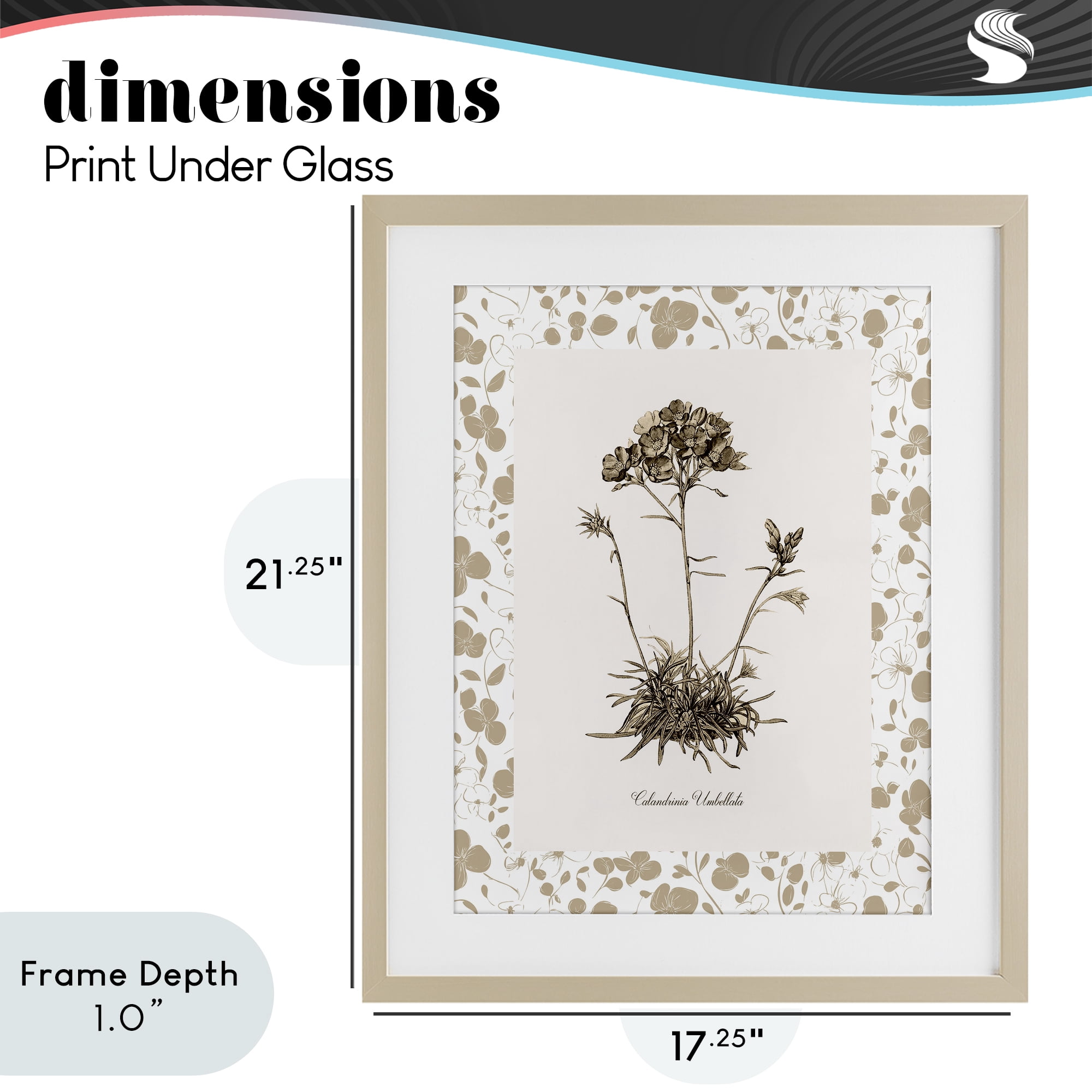Stupell Industries Neutral Imperial Flower & Herb Birch Framed Print Under Glass, design by Kelly Donovan