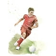 thumbnail image 2 of Shefranov, Olga 12x14 Gold Ornate Wood Framed with Double Matting Museum Art Print Titled - Soccer Player, 2 of 4