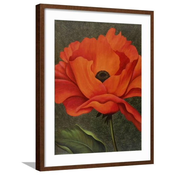 Art.com Red Poppy Giclee Print by John Zaccheo, Brown Frame Wall Art, 23" x 29"