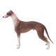 thumbnail image 1 of Modelos De Galgos De Simulación, Modelo De Galgos Sin Daños, Suavizado Para Bebés ANGGREK Otros, 1 of 8