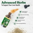 thumbnail image 2 of Rejuvica Health VitaLiver Liver Support Supplement with Milk Thistle & Artichoke, 2 fl oz, 2 of 6