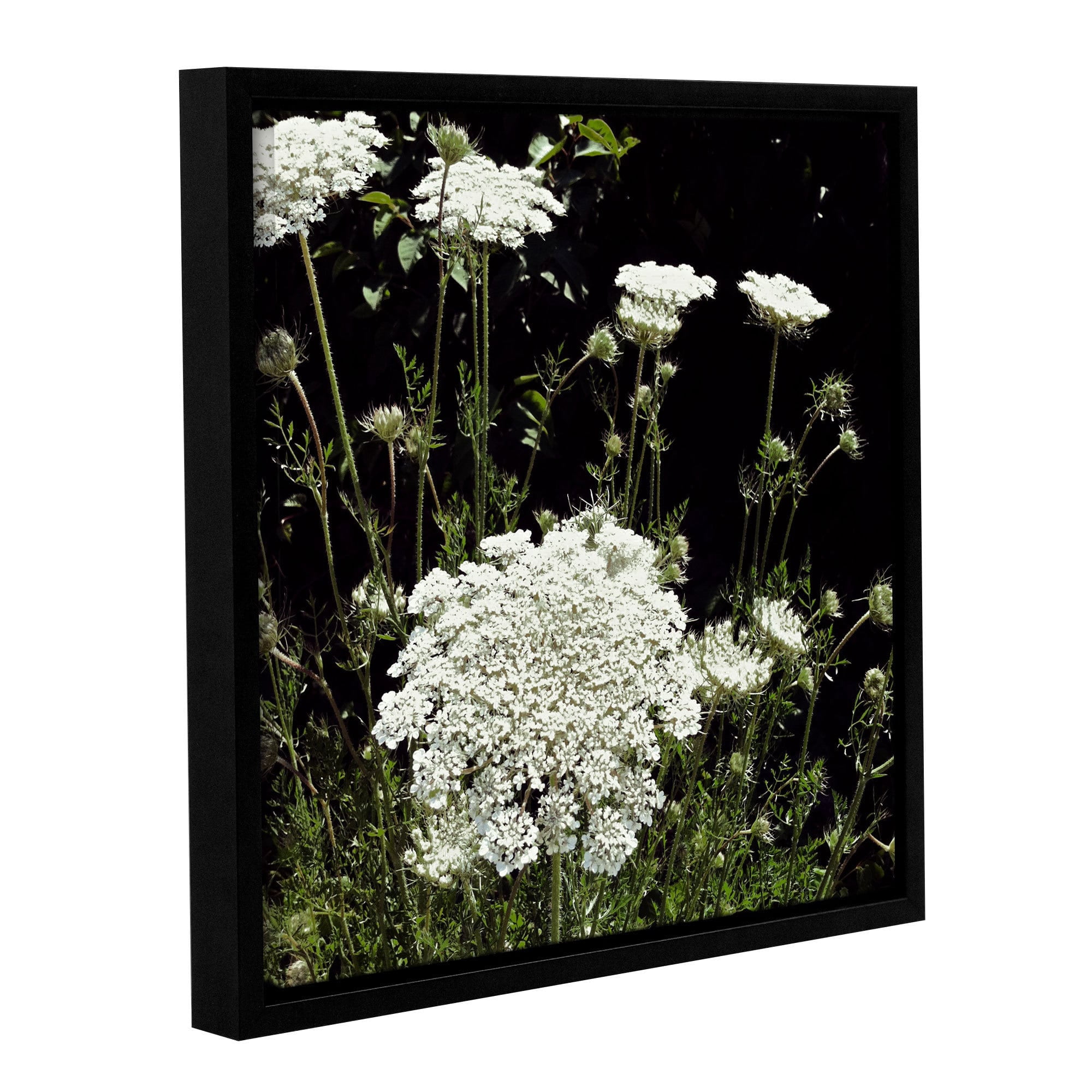 ArtWall Kevin Calkins "Queen Anne's Lace" Gallery-Wrapped Floater-Framed Canvas