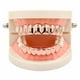 thumbnail image 5 of Juego de Parrillas personalizadas de 8 dientes Zulema Parrillas chapadas en oro de 18 quilates, 5 of 8