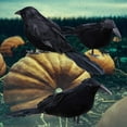 thumbnail image 7 of TETOU 6pcs Halloween Black Feathered Foam Crows Realistic Bird Halloween Ravens Decor Props, 7 of 7