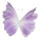 thumbnail image 1 of Mariposa de gasa decorativa para pared, enorme mariposa artificial de seda para ventana Púrpura, 1 of 9