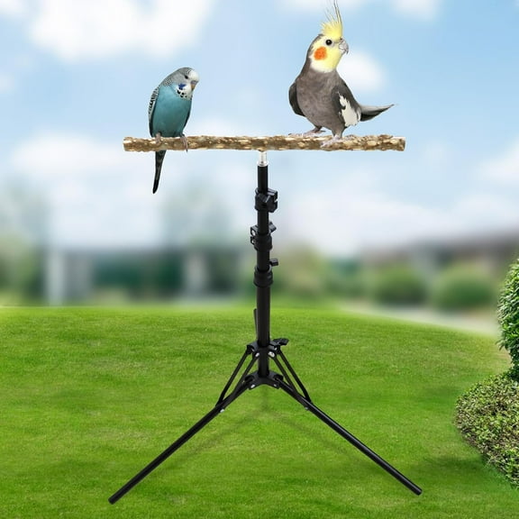 Wooden Bird Perch Stand with Height Adjustable Tripod for Small to Medium Birds
