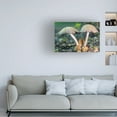 thumbnail image 4 of Canvas Wall Art - Gordon Semmens 'Textures 36' Wall Art for Living Room, Bedroom, or Office Décor by Trademark Fine Art - 32 x 22 Inches, 4 of 4