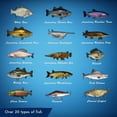 thumbnail image 3 of Legendary Fishing (Switch), 3 of 7