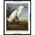 thumbnail image 3 of Snowy Heron or White Egret  Snowy Egret, Animals Framed Art Print Wall Art by John James Audubon Sold by Art.Com, 3 of 6