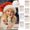 A, variant on 1-Piece 6-Color Retractable Ballpoint Pen (Santa with Christmas Hat Design), Multi-Color Writing Pen